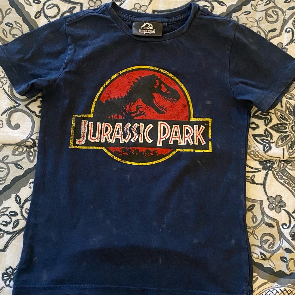 Boys Jurassic park t shirt vintage look